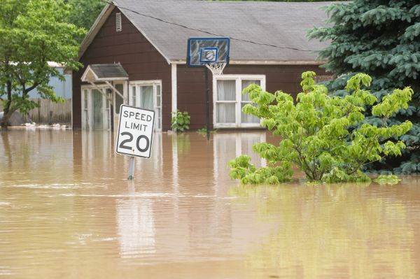 Cost of Storm Restoration Service in Raleigh