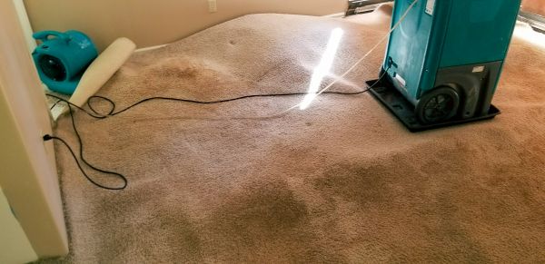 Cost of Flood Damage Cleanup in Raleigh