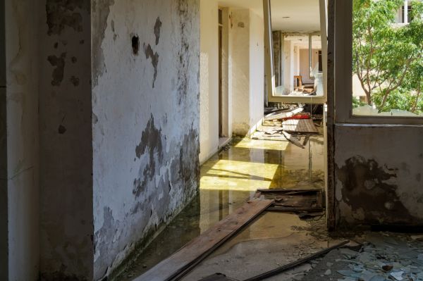 Cost of Water Removal Service in Raleigh
