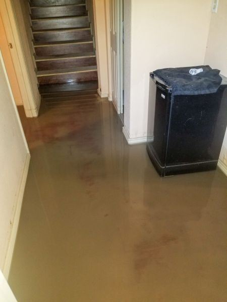 Cost of Emergency Water Removal in Raleigh