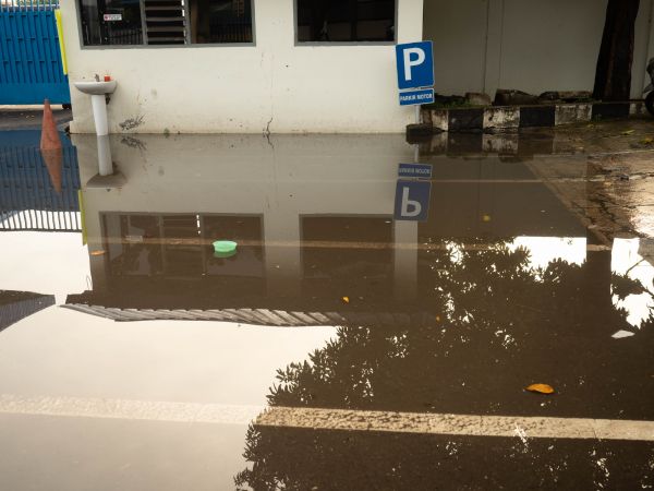 Cost of Storm Damage Repair in Raleigh