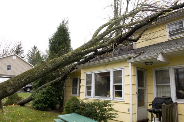 Cost of Hurricane Damage Repair in Raleigh